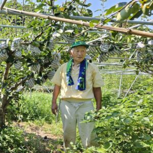 高知の旬　秋の味覚　新高梨　お取り寄せ人気　おすすめ　